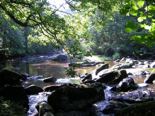 Mountain Stream